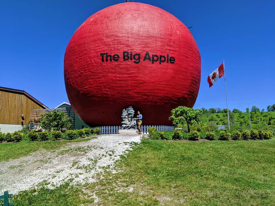 Abira_Ed's tweet image. A quick trip to The Big Apple for their delicious apple bread. 🍞🍩
#AppleBread #ApplePie #AppleFritter #Apples #AppleCrumble #Colborne