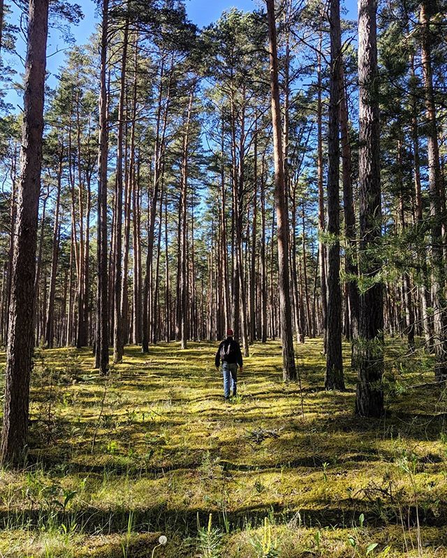 veena_sr's tweet photo. Foresting in #kihnu 🌲🌼 @sv_spartan .
.
.
#estonia #travel #traveler #instatravel #forest #nature #travelgram #green #summerdays #explore #islandlife #sailinglife #adventures #intothewild #lovelife https://t.co/lFwsnLoLOQ https://t.co/kioyaMEiEl