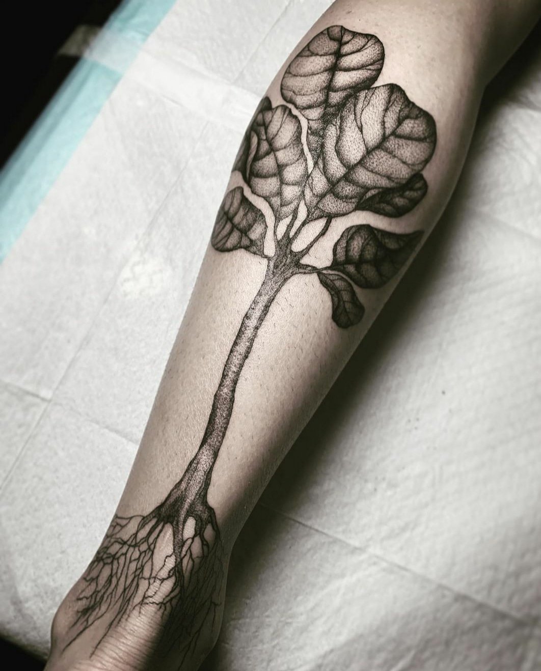 FIG BRANCHES AND FRUIT ON FOREARM INSTAGRAM MICHAELBALESART by Michael  Bales TattooNOW