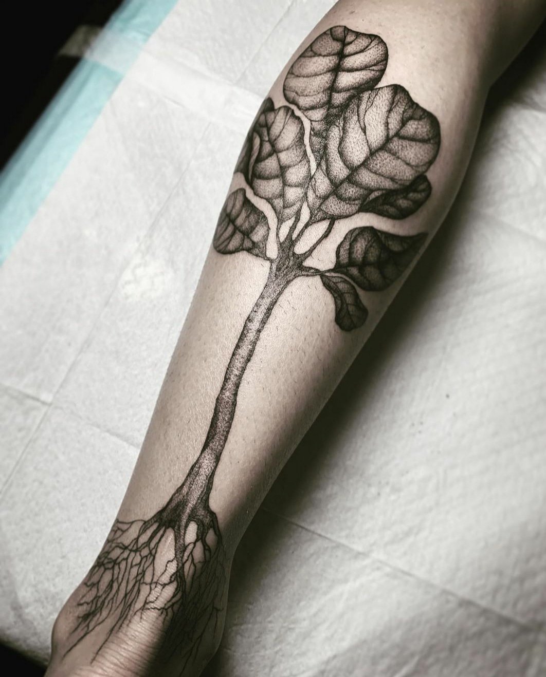 Best plant tattoos by Los Angeles tattoo artists  Los Angeles Times