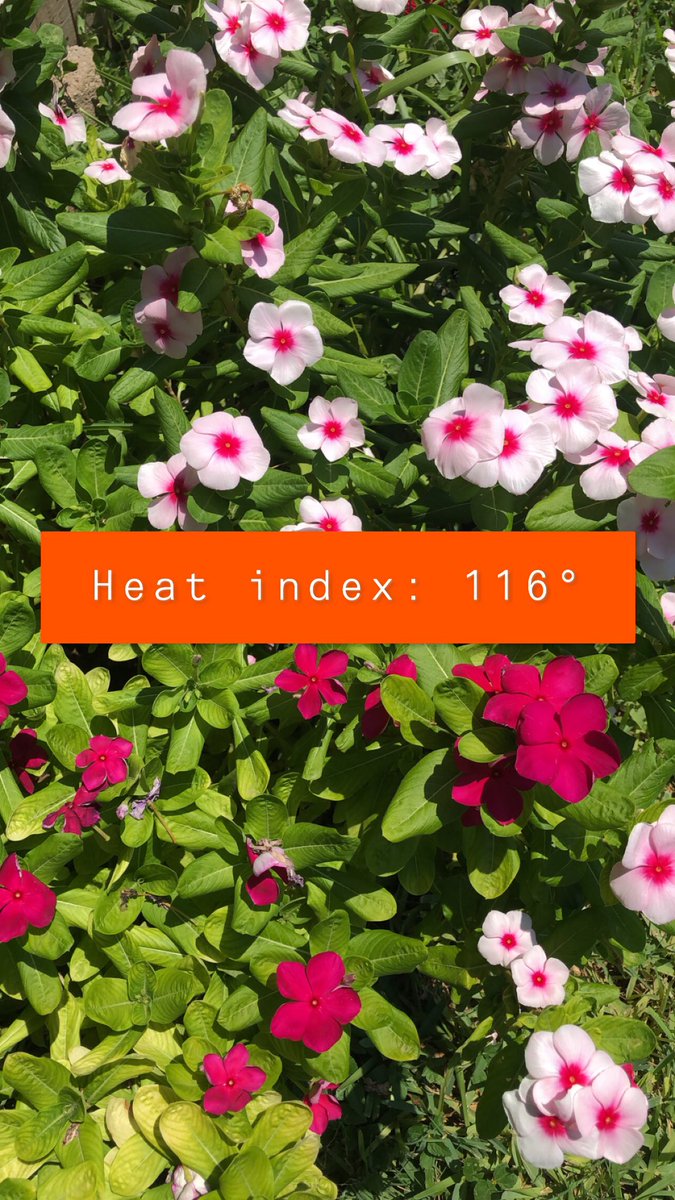 CityofMcAllen's tweet photo. Currently in McAllen. 🥵🥵
Lots of water and stay indoors if possible!
#MakeItStop #NotEvenSummerYet https://t.co/2Jf88hNsq2