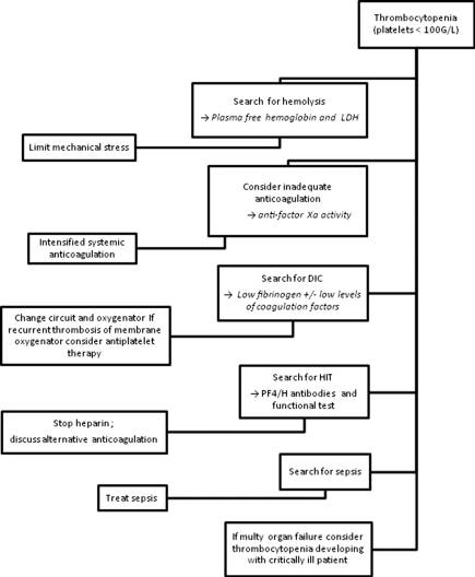 shop cross sectoral policy developments in