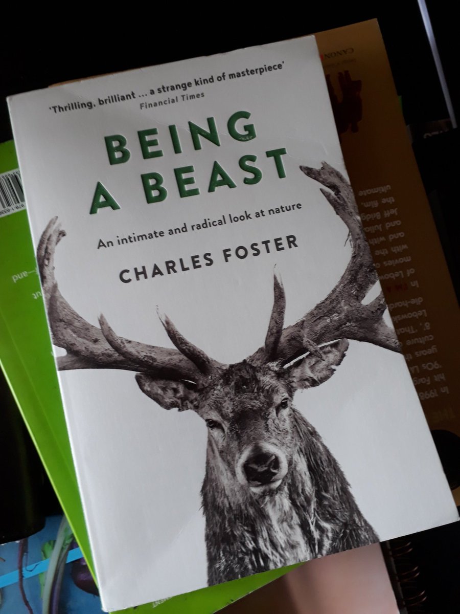 sonia_wasowska's tweet photo. This week's find! Very interesting!
#beingabeast
#books
#weekendreads
#bookstagram
#bookshelf https://t.co/HfvDjbBgKr