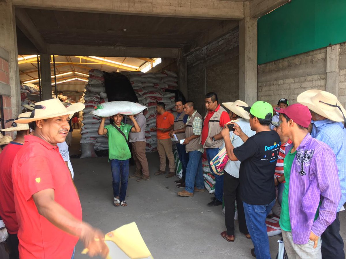 vmva1950's tweet photo. Estamos entregando fertilizante en #TierraCaliente y Región Centro de #Guerrero. Conforme al compromiso presidencial, vamos avanzando, redoblamos esfuerzos. Gracias al equipo que lo hace posible. @SADER_MEX @HectorAstudillo #GobiernoDeMéxico https://t.co/MW0wgkBYRN