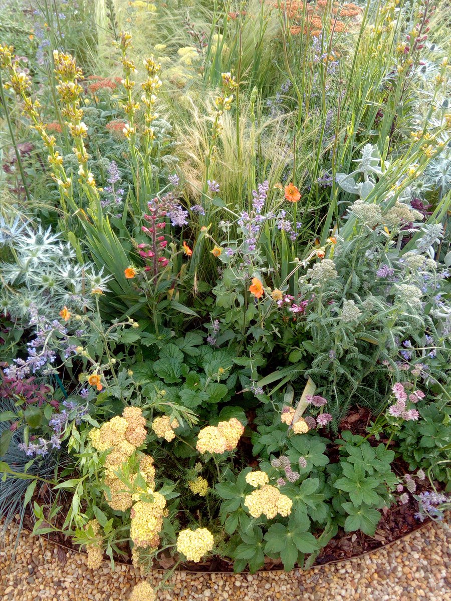 JaDerbyshire's tweet photo. Very productive day creating our show garden #StrengthInHumanity @BBCGWLive for @CwC_UK with the amazing garden designer Ben Stubbs. With all the rain it has been transformed in a day and can't wait to reveal the centrepiece created by Tan Draig OBE and friends of Megan Darke. https://t.co/wafEAfDJpw