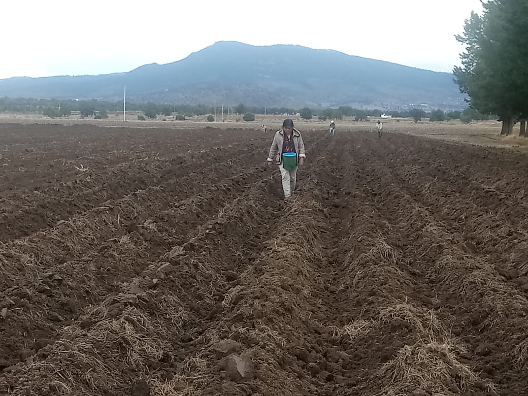 Se llego la tiempo de la siembra, nosotros cultivamos nuestro propios productos