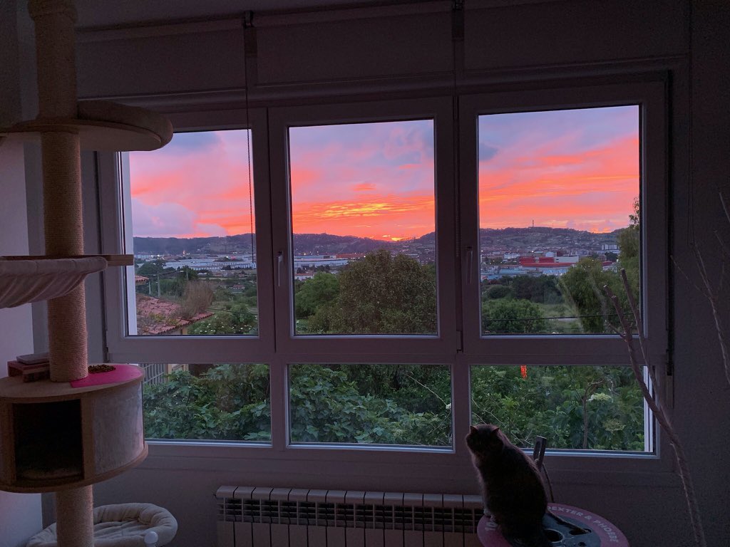 maralacano's tweet photo. @EmilioRey No está mal desde mi ventana y sin ❄️#candilazo 😻 https://t.co/CnO7acYxGq