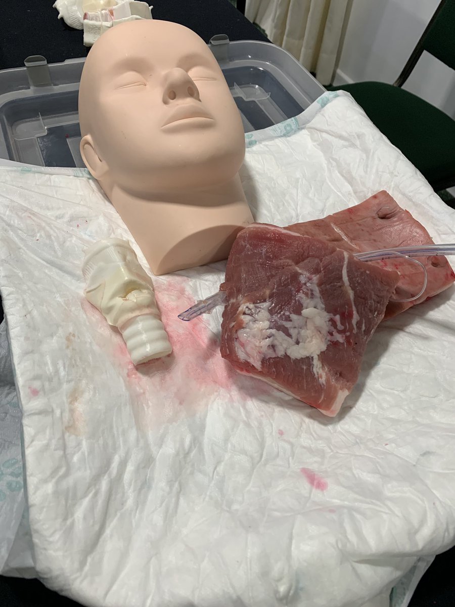 dcaromd's tweet photo. @drlauraduggan The DAC:Residency edition had a course in Brazil...the team here used your 3D cric model! https://t.co/DoJpuzYM4H