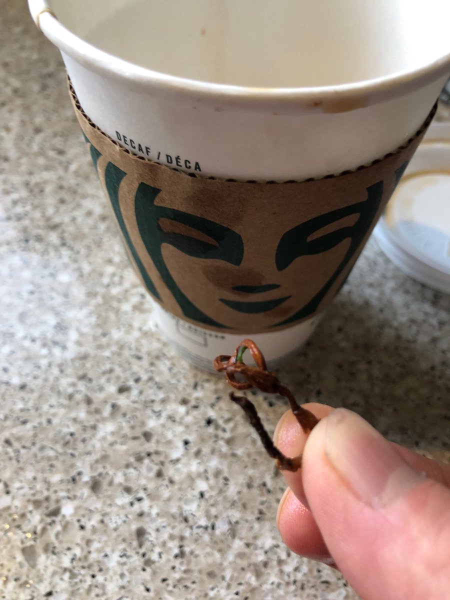 ⁦<a href="/StarbucksCanada/">Starbucks Canada</a>⁩ rinsed out my cup at home and found this elastic band in my cup :(
