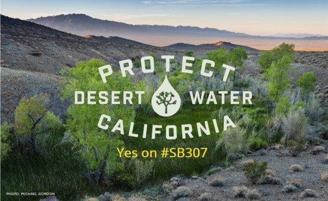 SupportSB307's tweet photo. .@laurafriedman43 is the ultimate #DesertDefender. We are so thankful for her tireless work to defend our Mojave Desert for our generation and those to come. She is a principal co-author of #SB307, which will be heard Monday in Asm Natural Resources Committee that she Chairs. https://t.co/y3sEGPJOpm