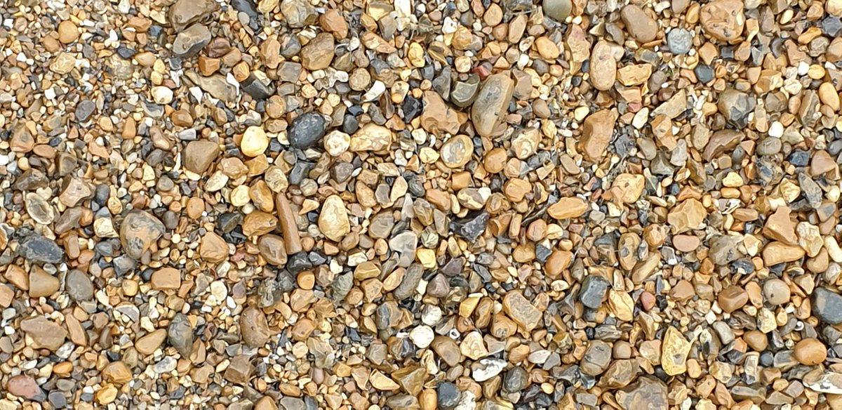 wayne_bath's tweet image. 