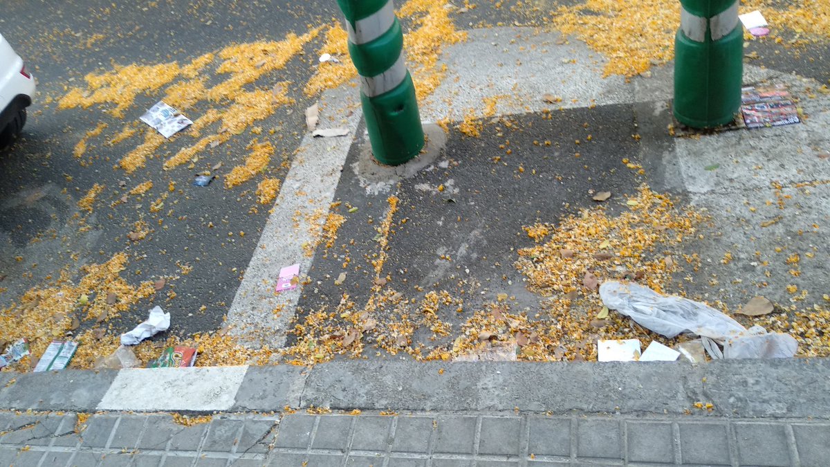 jgalfer's tweet photo. Entre basura, flores de árboles y adoquines levantados, este es el estado de la calle Portalegre. @RetoLipasam @PsoeCerroAmate @_CerrodelAguila https://t.co/OqQMhdP2un