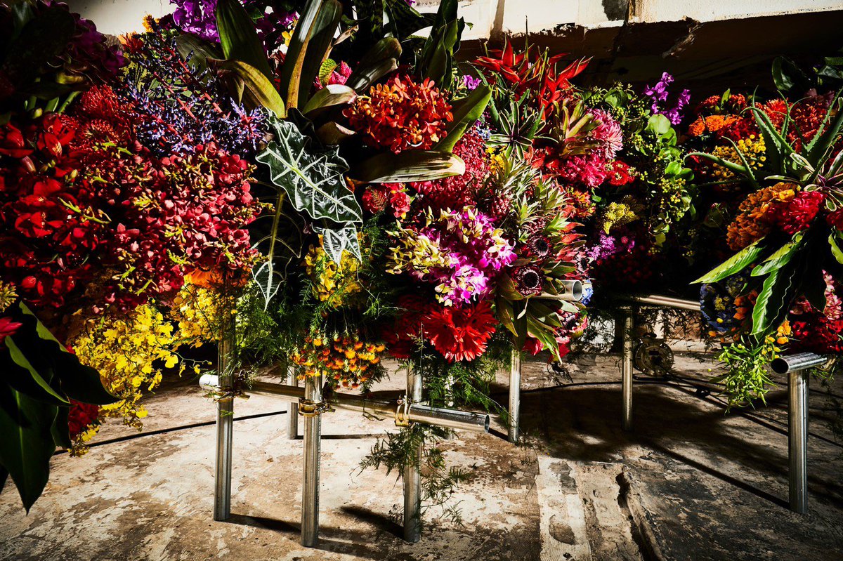 樹と花 978-4-86152-877-4-