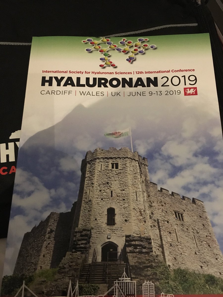 iva_pashkuleva's tweet photo. Enjoying Cardiff and #ISHAS meeting https://t.co/iofiwCcKAP