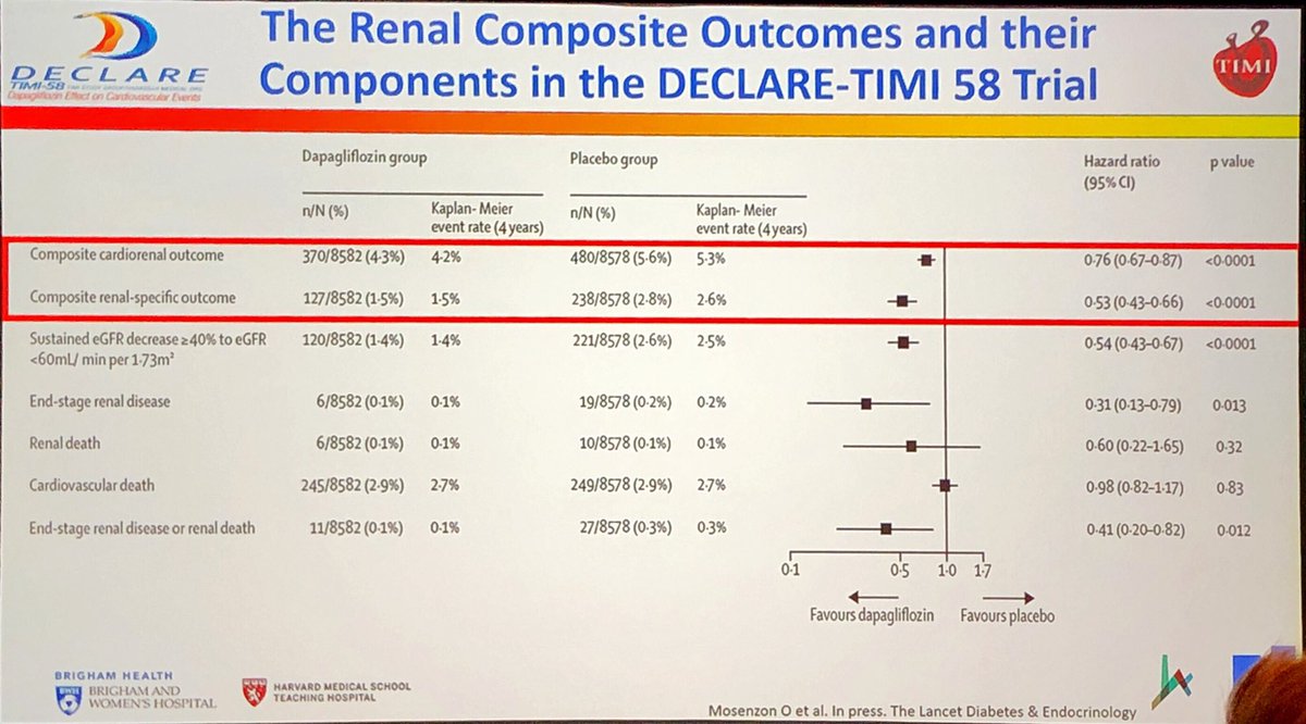 DiegoBellido2's tweet image. Datos de los resultados cardiorenales del estudio #DECLAREtrial confirman los efectos positivos conjuntos de prevención renal y cardiovascular #2019ADA