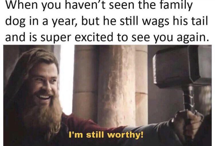 RespectfulMemes's tweet photo. https://t.co/6kJrookT2Q