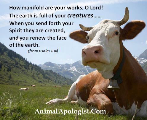 AnimalApologist's tweet photo. Only God's love can save human relationships with each other, with the  animals and with the earth. We must pray for renewal and for God's  Spirit.   #ReturnToEden #Repent #KingdomofGod #GardenofEdenDiet #TempleoftheHolySpirit https://t.co/52eVvnOxaE