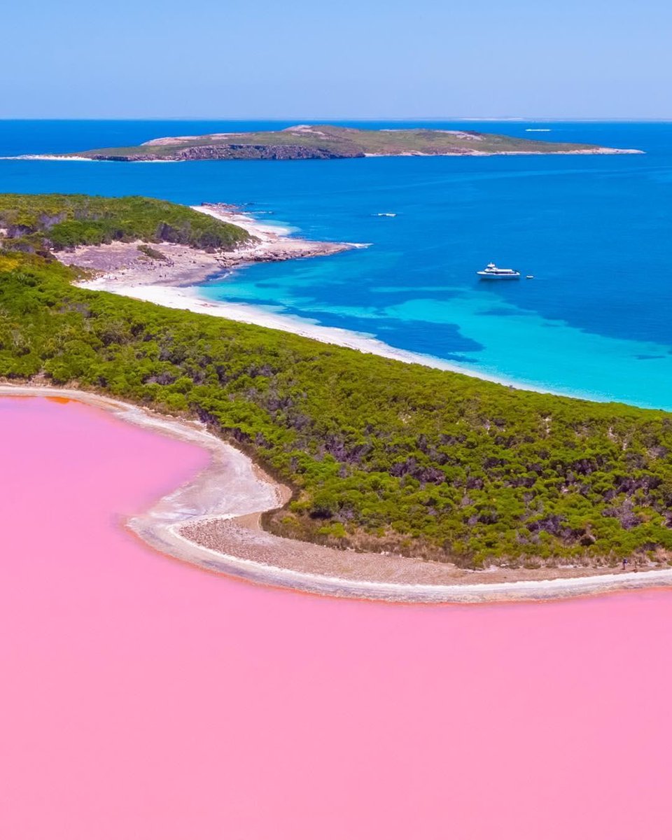 オーストラリア政府観光局 西オーストラリア州 Westaustralia のヒリアー湖では1枚の写真に美しい3色が収まってる エスペランス アイランド クルーズ社のツアーで ゴールデンアウトバック Golden Outback のエスペランス近くのミドル島に片道2