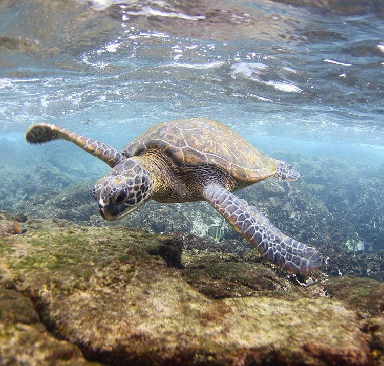 Cara Maré tweet media