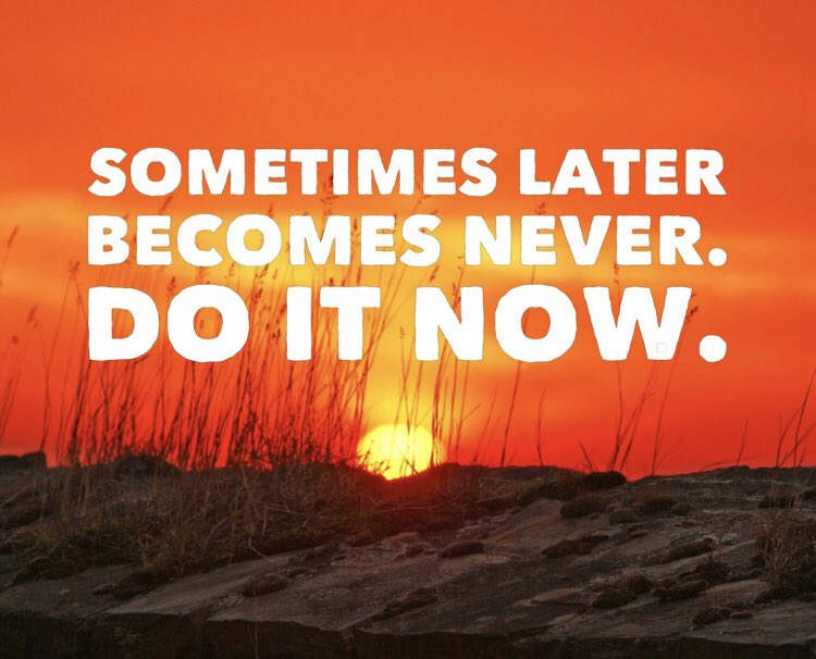 VectorTitans12's tweet image. 