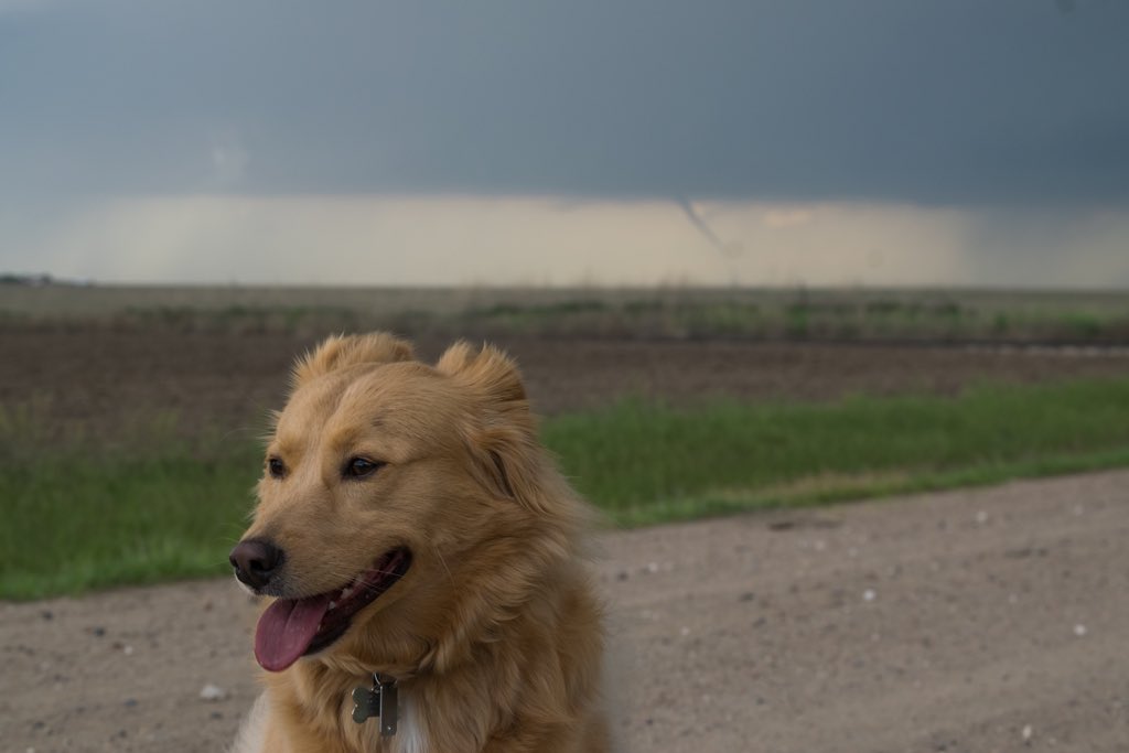 ChasingWithEcho's tweet image. Saw something called a landspoot tornodo yesterday but all I can think about are how many treats are waiting for me back in the car because @WxDeFlitch keeps saying ’want a treat look at the landspoot’