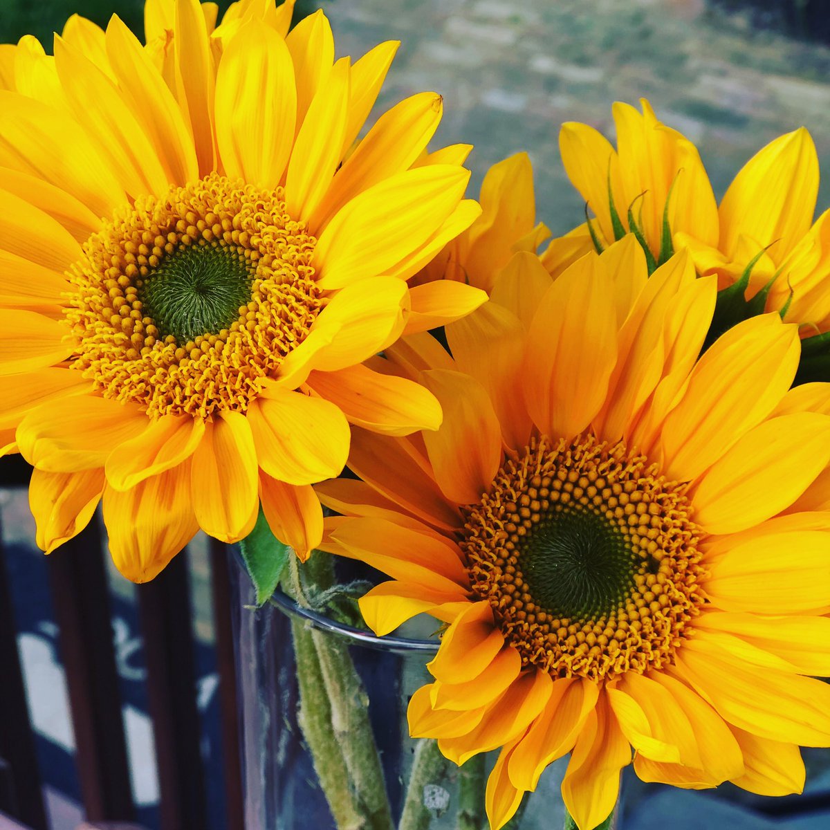 A sunflower chooses to face the sun every day. Every single day. We can, too. ☀️ Sunshine ☀️ ✨ Positivity ✨
🌻 Beauty 🌻 #mindfulliving #mindfulness #ChooseYourStory