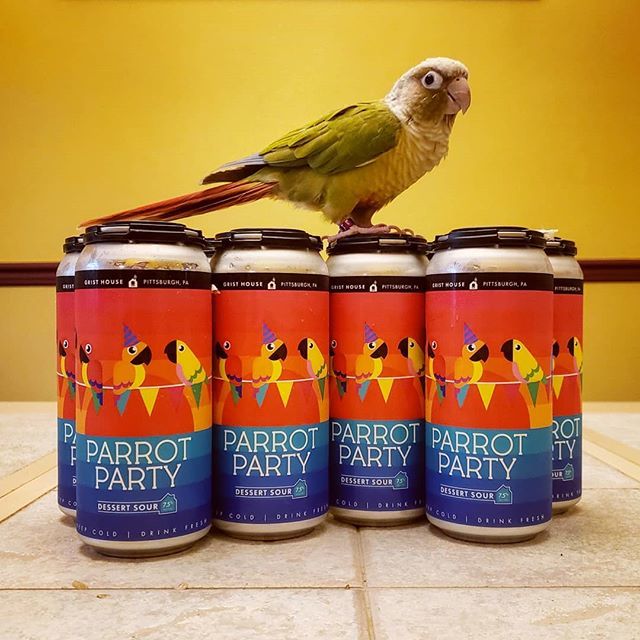 RedstartRoaster's tweet image. Congrats to @gristhouse on the release of their new Parrot Party Dessert Sour! #birdsandbrews #notactuallyforbirds #redstartcollabwhen #pittsburghlocal