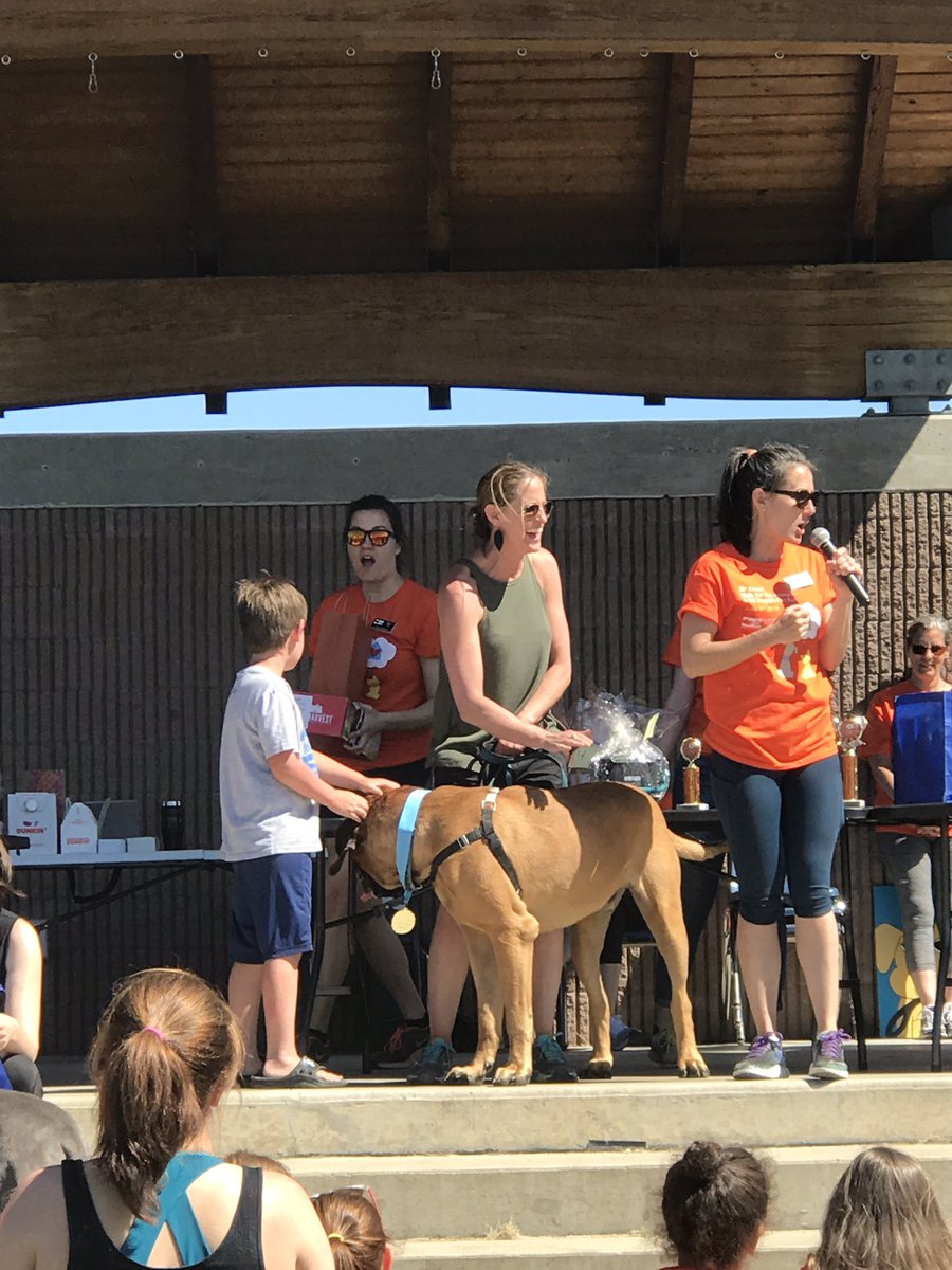 HeatherScandale's tweet photo. Walk for the Animals. ABS represents. Bruce, our ABS therapy dog, won biggest dog @CVSDVT @HumaneSocietyVT @TherapyDogsVT https://t.co/7DEEqwp3z8