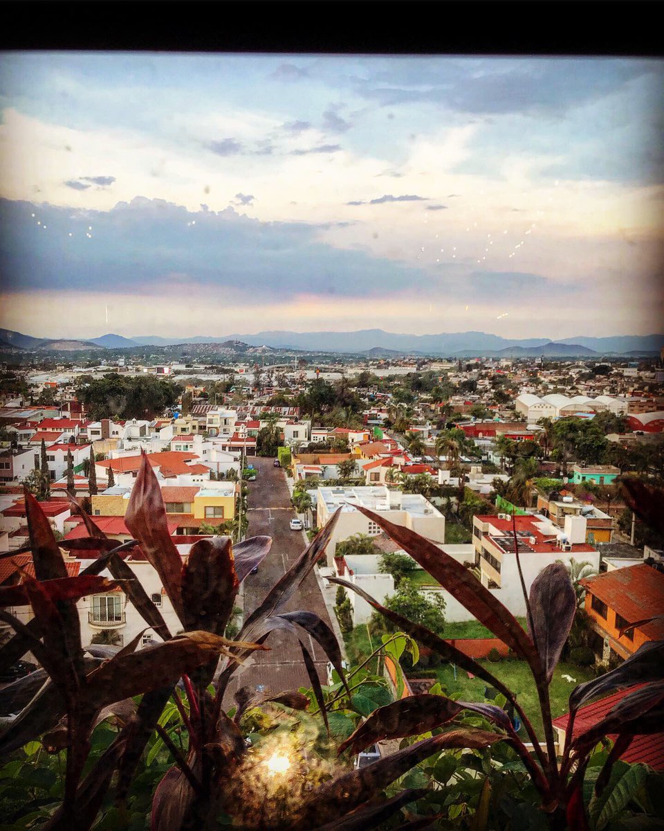 Teknov's tweet photo. Una ventana al cielo.
#sky #urbansapaces #window https://t.co/QH8yAtOdRR