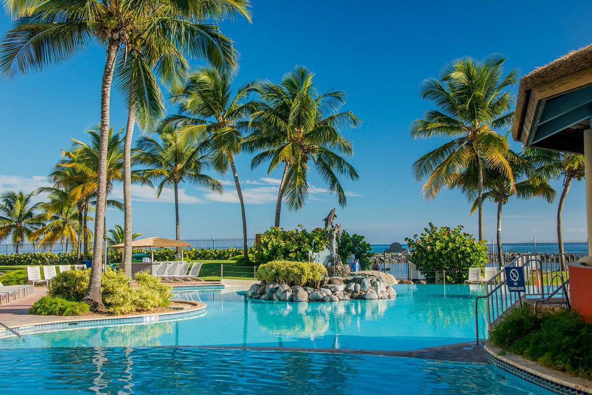 FoftyJ's tweet image. #PassdatDutch #SnoopLion #MarthaStewart 
@50cent
#50cent #ExamineListenAdjudge #ChinaPlusAmerica 
@iamcardib
#cardiB #GUnit #thisis50.com #JohnOliver #StephenColbert #LadyGaga #GUintSouth