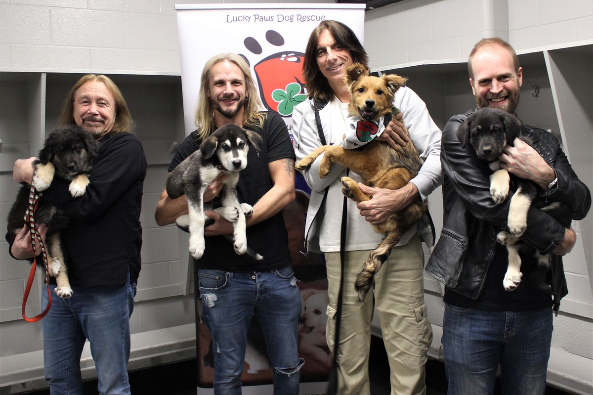 judaspriest's tweet image. Ian with Lemmy, Richie with Judas, Scott with Scotia and Andy with Lita - some of the rescue puppies from the Lucky Paws Dog Rescue Centre who are a group of volunteers dedicated to rescuing dogs and puppies that come from horrible situations and give them a new lease of life