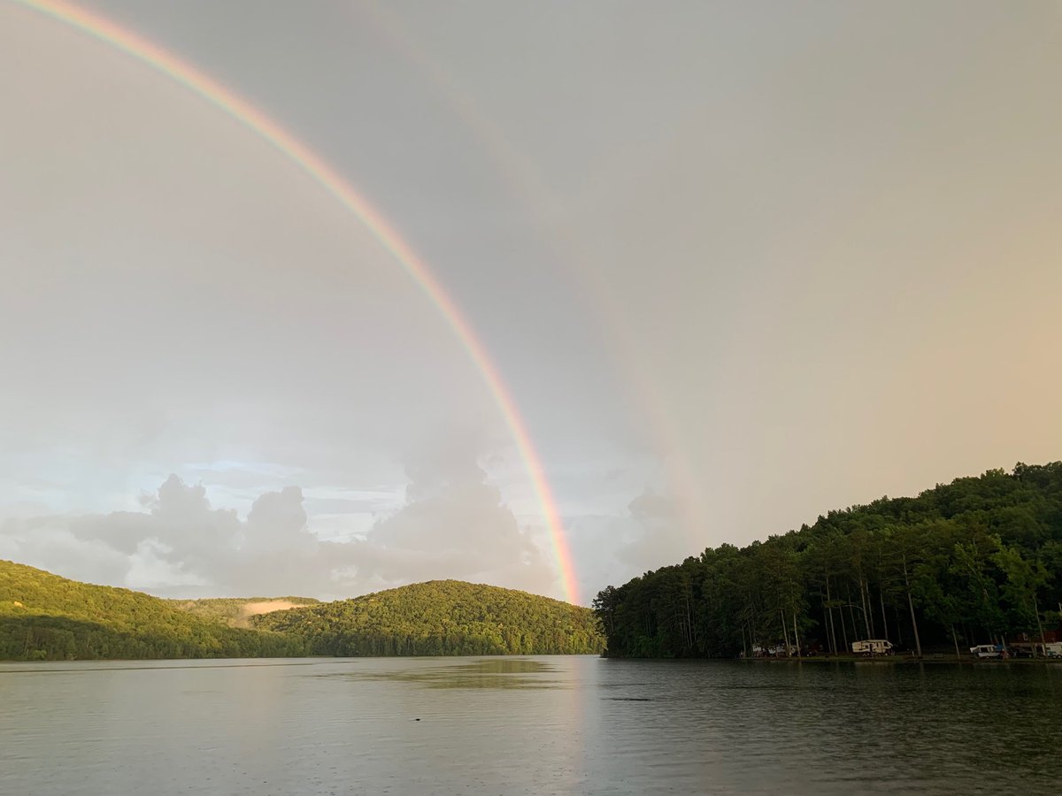 Lynn Tidmore tweet media