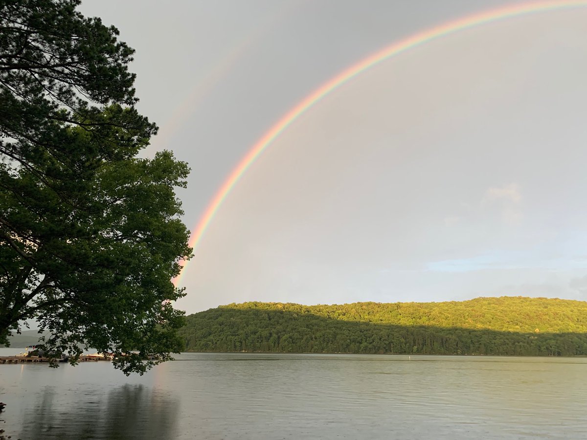 Lynn Tidmore tweet media