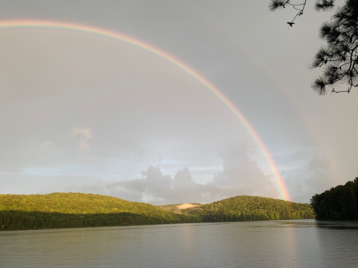 Lynn Tidmore tweet media