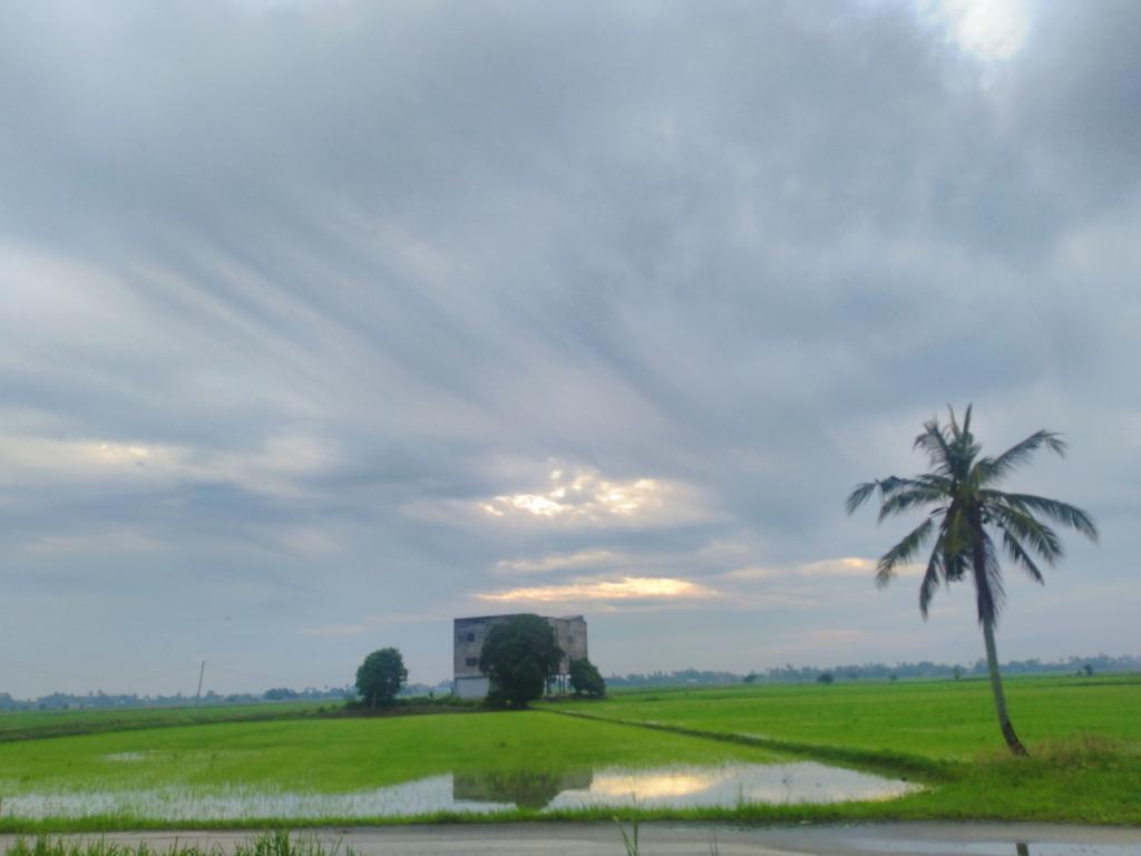 jimie1402's tweet photo. Selamat pagi warga Twitter sekalian!
#RayaKe6
#VSCO https://t.co/B21z5HuHWK