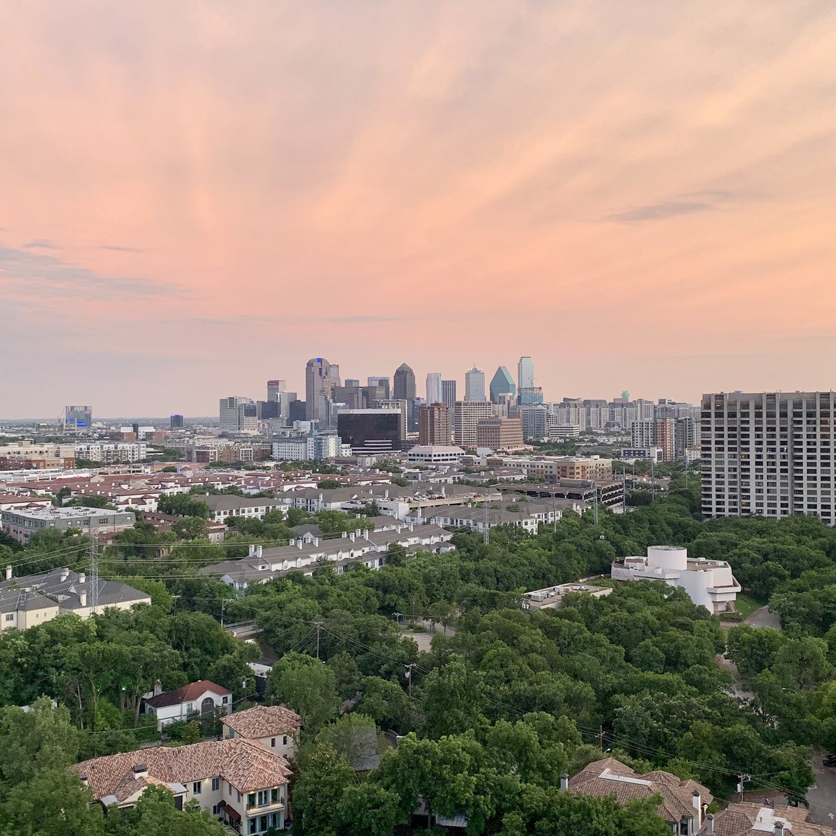 Molly Ellis tweet media