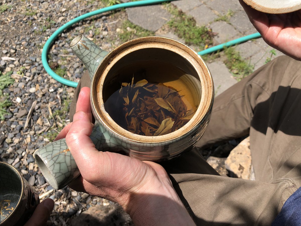 TeaSwallow's tweet image. Homegrown