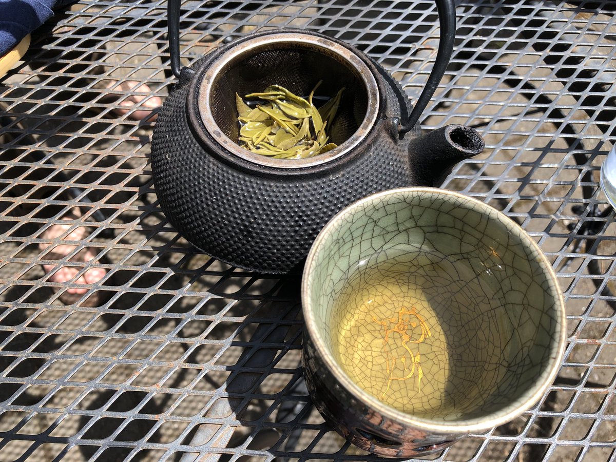 TeaSwallow's tweet image. Buddy getting green. Homegrown