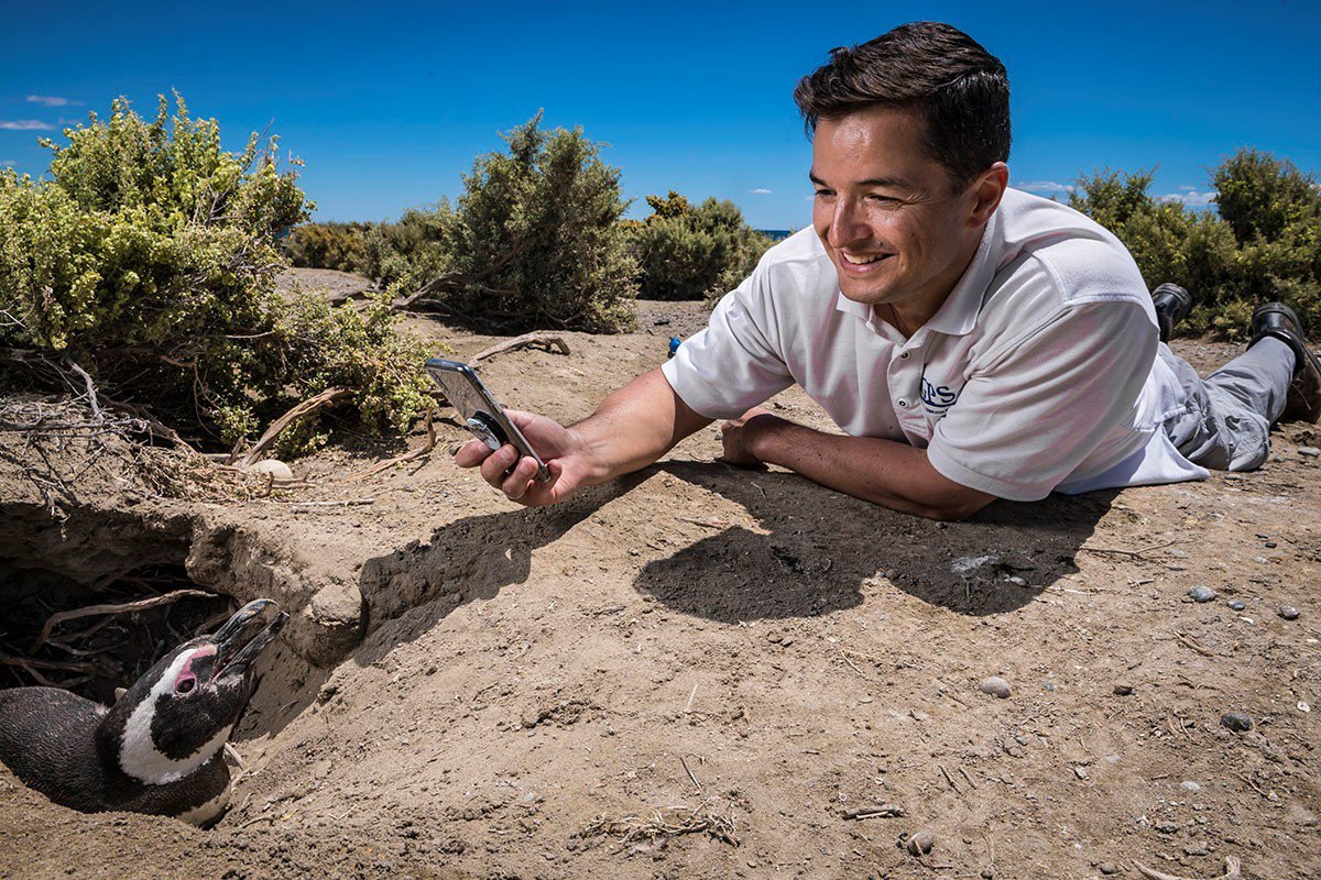 AlejoGluglu's tweet photo. Mi papá se dedica la conservación de pinguinos hace 30 años y está participando de los premios Rolex. Quedó entre los 10 finalistas de 1000 personas, siendo el único Argentino. Solo 5 serán premiados y depende de los votos que reciba. Difundir con RT por favor! 🇦🇷🐧
Link abajo ↓ https://t.co/Dnz0wz2skx