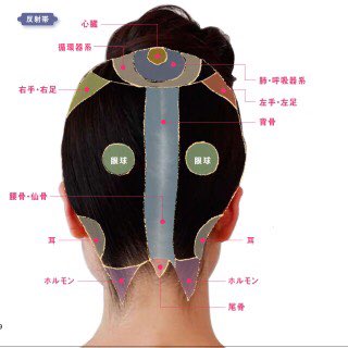 頭のツボ 頭のツボ