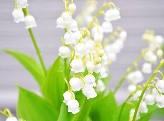D8qq7npXYAE8d8I?format=webp&