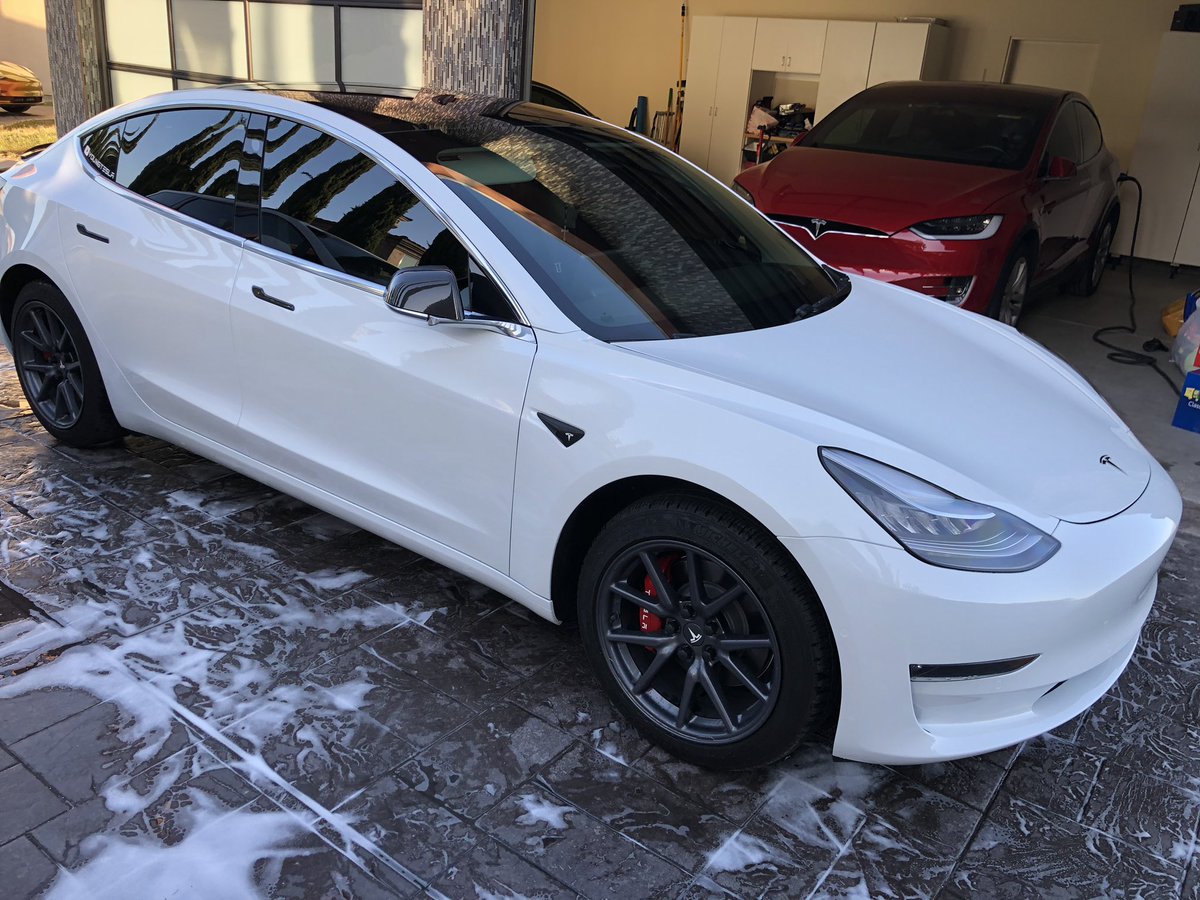 Young Tesla tweet media