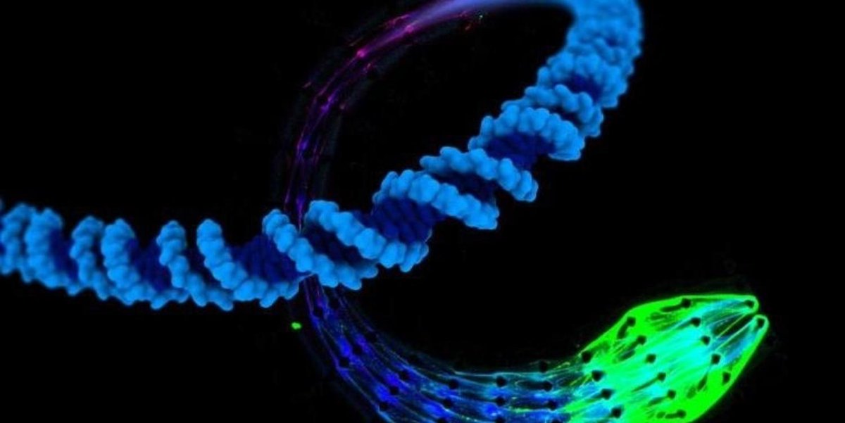 bigthink's tweet image. Scientists create a 'lifelike' material that has metabolism and can self-reproduce bit.ly/2F29ztM