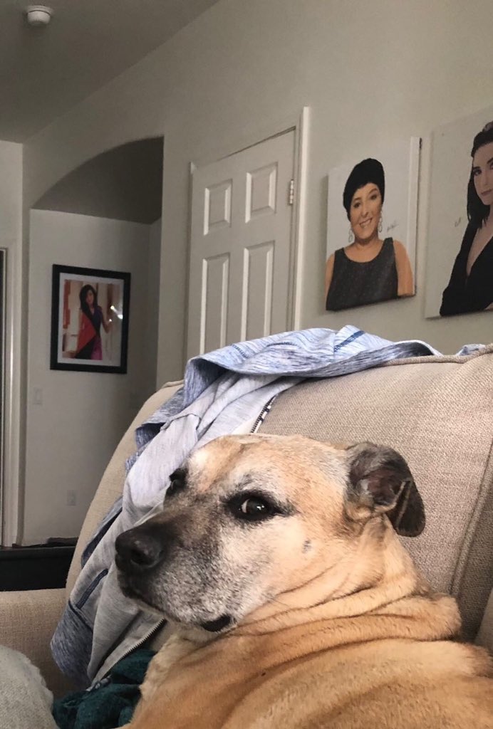 Chloe Grimmie Chloegrimmiee Twitter