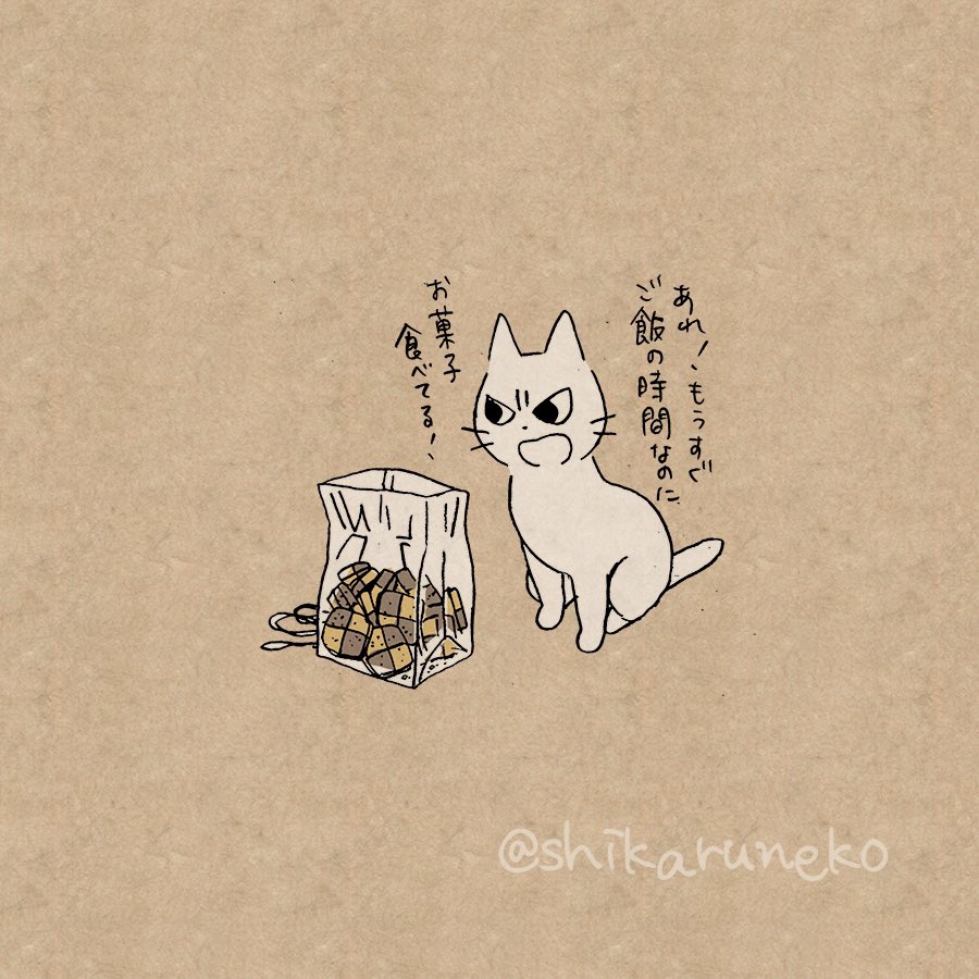 しかるねこ No Twitter 食事前にお菓子でお腹を膨らましてしまう人を叱ってくれる猫 しかるねこ No Twitter 食事前にお菓子でお腹を膨らましてしまう人を叱ってくれる猫