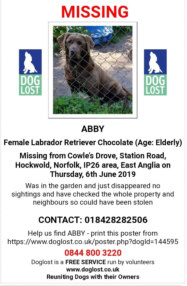 🐕 VERY #URGENT choc #labrador ABBY disappeared from her garden on 6 June &amp; NO sightings at all.
ABBY is very #elderly, has a sunken head on right side due to brain tumour &amp; needs medication for her eye.
Cowle’s Drove, Station Rd Hockwold #Norfolk #IP26
Poss #stolen🙏 NOT chipped