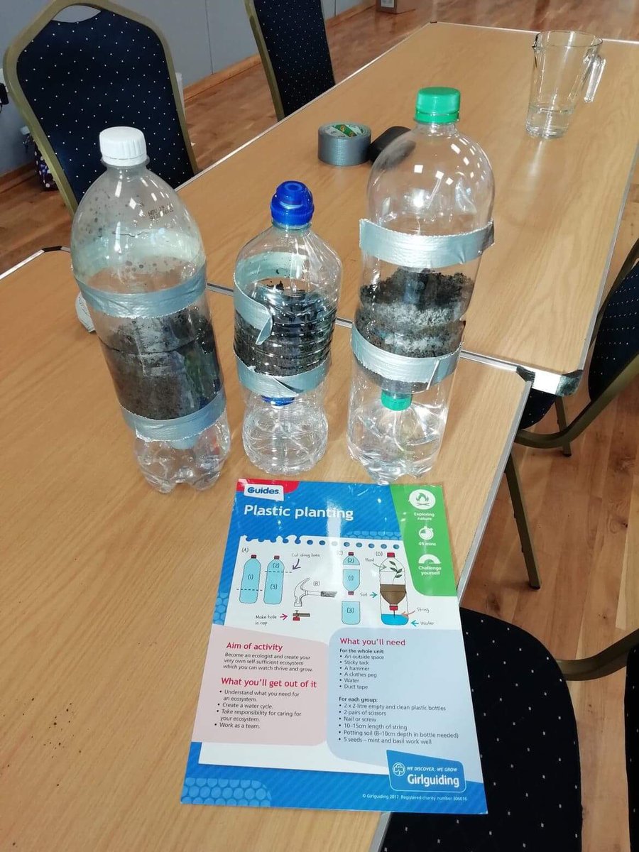 Stocksfield Guides recycling plastic bottles into sunflower greenhouses! #FutureGirl #ReduceReuseRecycle <a href="/Girlguiding/">Girlguiding</a>