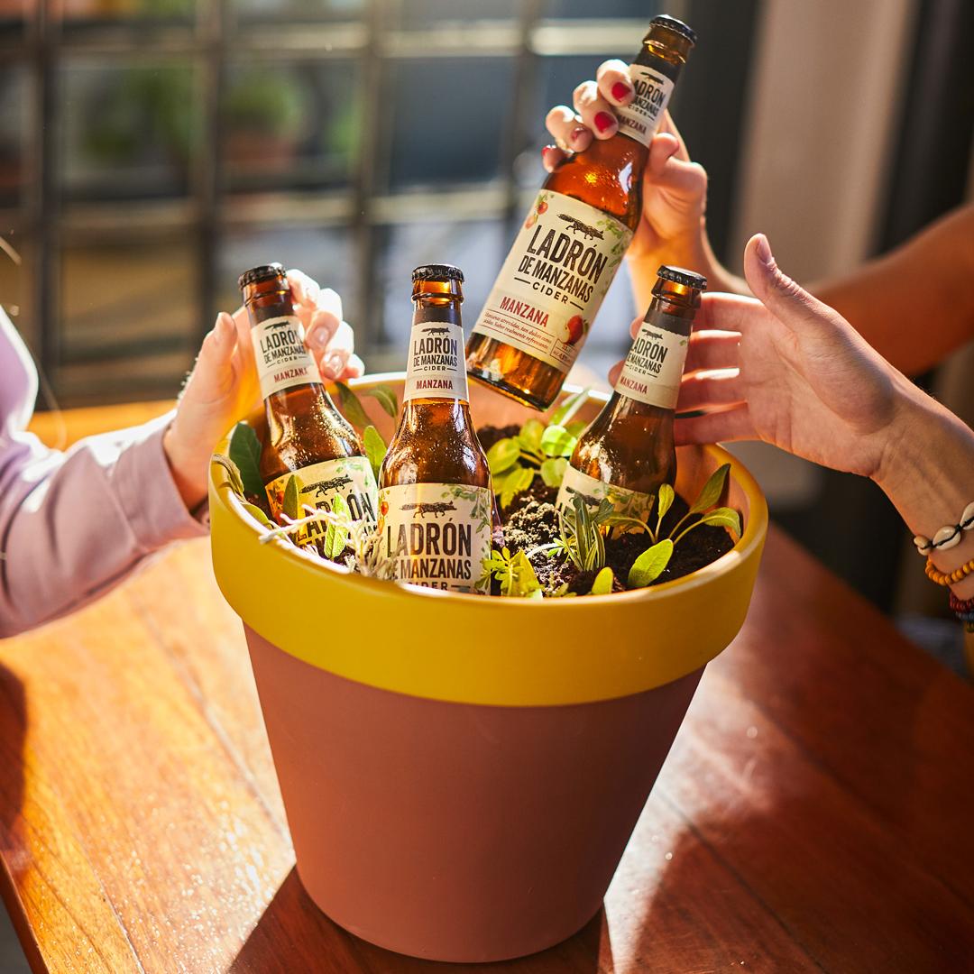 Tiene un punto justo de alcohol, no tiene gluten y es natural y refrescante... ¿Qué más puedes pedirle a una bebida? #LadrónDeManzanas