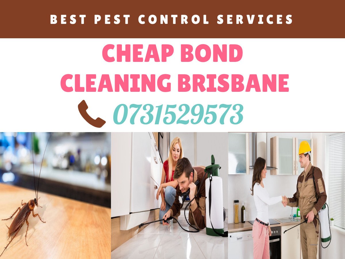 CheapBondGroup's tweet image. Are you facing #pest_problems in your #house? Don&apos;t be panic just place a call -- 0731529573 and hire #professional for #pest_control