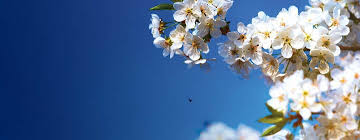 #pazartesi  bolluk bereket dolu bir hafta